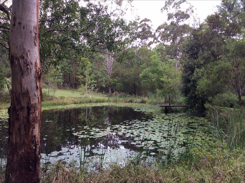 Maleny Country Cottages - Phillip Island Accommodation 3