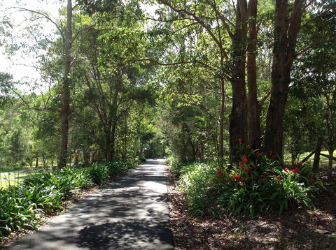 Maleny Country Cottages - Phillip Island Accommodation 8