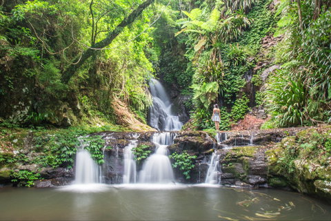 O'Reilly's Rainforest Retreat - Phillip Island Accommodation 0