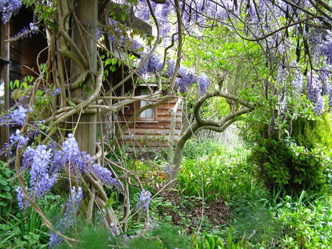 Plovers Ridge Country Retreat - Phillip Island Accommodation 5