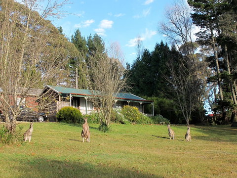 Cedar Lodge Cabins - Phillip Island Accommodation 0