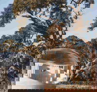 Coonawarra Bubble Tents - Phillip Island Accommodation