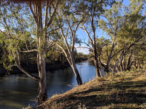 Four Mile Camping Reserve - Phillip Island Accommodation 2