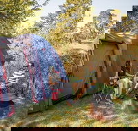 Village campground - Phillip Island Accommodation