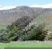 Jessica's Guest House and Vineyard