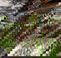 Melaleuca Surfside Backpackers