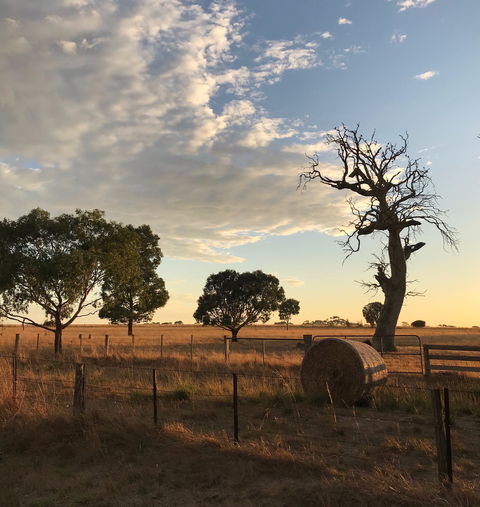 Rocklea Farm - Phillip Island Accommodation 0