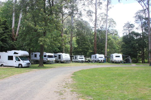 Tarra Valley Caravan Park - Phillip Island Accommodation 2