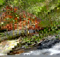The Mouses House - Rainforest Retreat - Phillip Island Accommodation