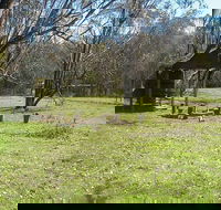 Tin Mines campground - Phillip Island Accommodation