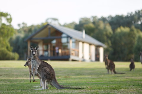 Yering Gorge Cottages - Phillip Island Accommodation 0