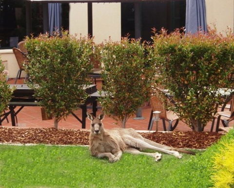 Alpha Canberra Hotel - Phillip Island Accommodation 0