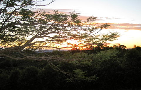 Annie's Place Bed And Breakfast - Phillip Island Accommodation 0