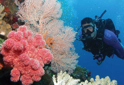 NRMA Palm Cove Holiday Park - Phillip Island Accommodation 2