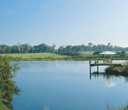 Forest Rise Eco Retreat - Phillip Island Accommodation 0