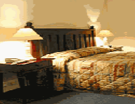 Comfort Inn Treetop Walk - Phillip Island Accommodation