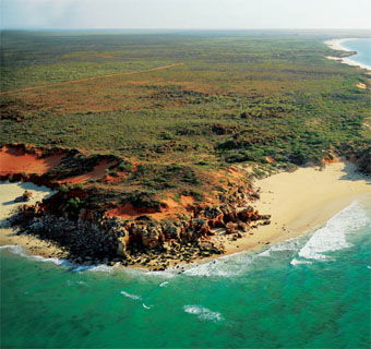 Eco Beach Wilderness Retreat - Phillip Island Accommodation 2