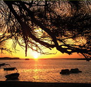 Pelican's Nest - Phillip Island Accommodation