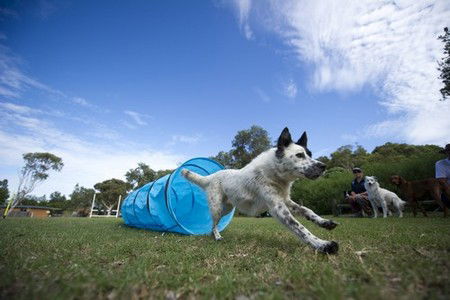 North Beach Holiday Park - Phillip Island Accommodation 1