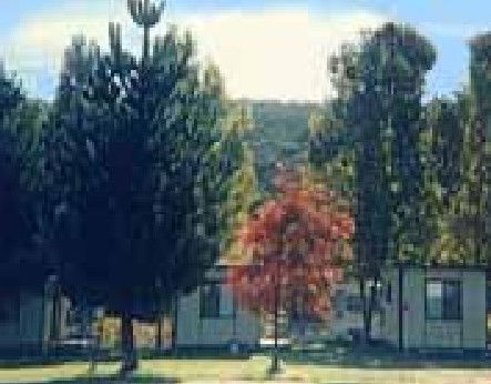 Anglers Reach Caravan Park - Phillip Island Accommodation 0