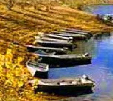 Anglers Reach Caravan Park - Phillip Island Accommodation 2