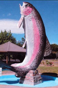 Anglers Reach Caravan Park - Phillip Island Accommodation 3