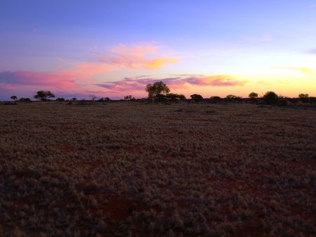 Wogarno Homestead - Phillip Island Accommodation 0