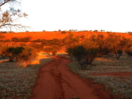 Wogarno Homestead - Phillip Island Accommodation 1
