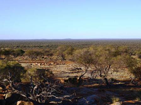 Wogarno Homestead - Phillip Island Accommodation 2