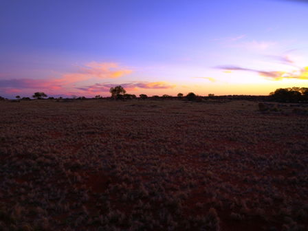 Wogarno Homestead - Phillip Island Accommodation 4