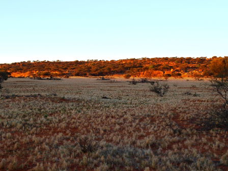 Wogarno Homestead - Phillip Island Accommodation 5