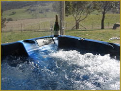 Henlie Park Bed & Breakfast - Phillip Island Accommodation 1