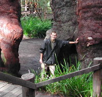 Walpole Lodge - Phillip Island Accommodation