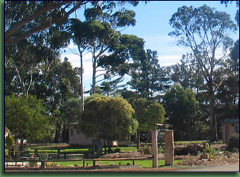 Kalgan River Chalets And Caravan Park - Phillip Island Accommodation 0