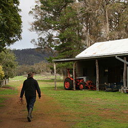 Bolganup Homestead - Phillip Island Accommodation 2