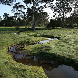 Bolganup Homestead - Phillip Island Accommodation 3