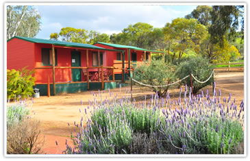 Toodyay Caravan Park - Phillip Island Accommodation 2