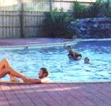 Shark Bay Caravan Park - Phillip Island Accommodation