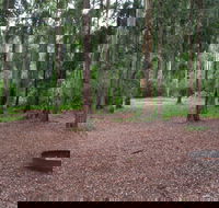 Murphys Glen campground - Phillip Island Accommodation