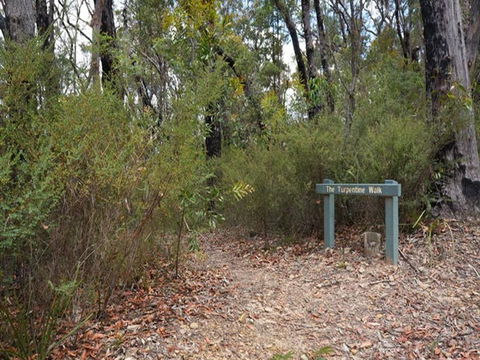 Murphys Glen Campground - Phillip Island Accommodation 2