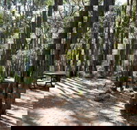 Perth Hills Centre Campground at Beelu National Park - Phillip Island Accommodation