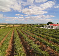 1837 Barossa Luxury Vineyard Cottages - Phillip Island Accommodation