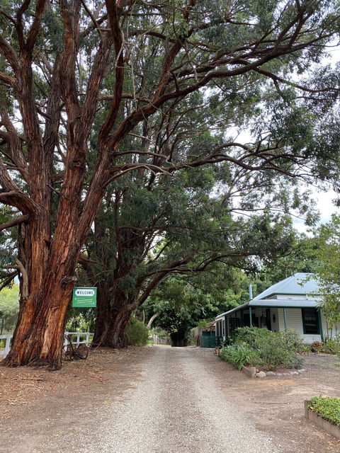 Fernleigh Accommodation - Phillip Island Accommodation 0