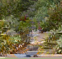 Highland Caravan Park - Phillip Island Accommodation
