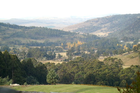 Sassafras Springs - Phillip Island Accommodation 1