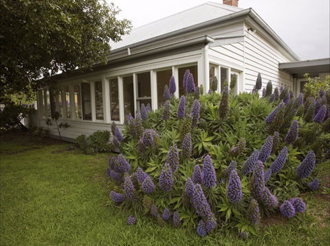 The Lonsdale Palms - Phillip Island Accommodation 1