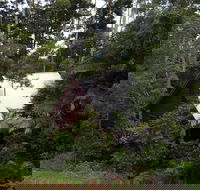Turkeys Nest Rainforest Cottages Mt Glorious - Phillip Island Accommodation
