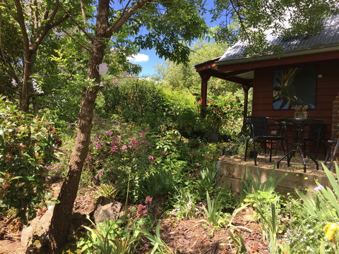 Artscape Cottage Beechworth - Phillip Island Accommodation 2