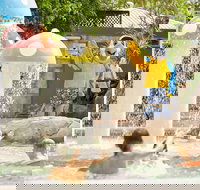 Ashmore Palms Holiday Village - Phillip Island Accommodation