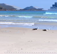 Eagles Rise Tasmania - Phillip Island Accommodation